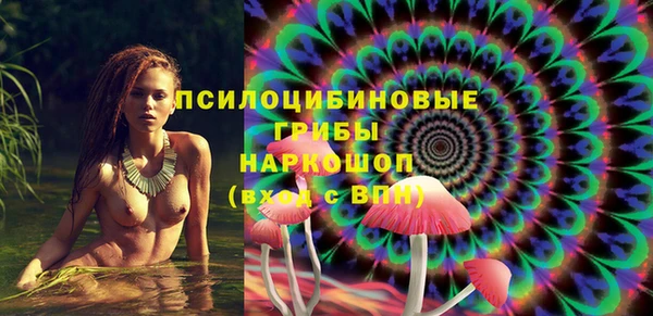 Альфа ПВП Каменногорск
