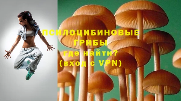 гашиш Каменка