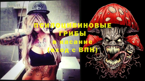 МДПВ Каменск-Шахтинский