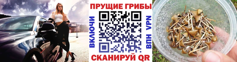 Псилоцибиновые грибы Magic Shrooms  Купить закладки  Североуральск 